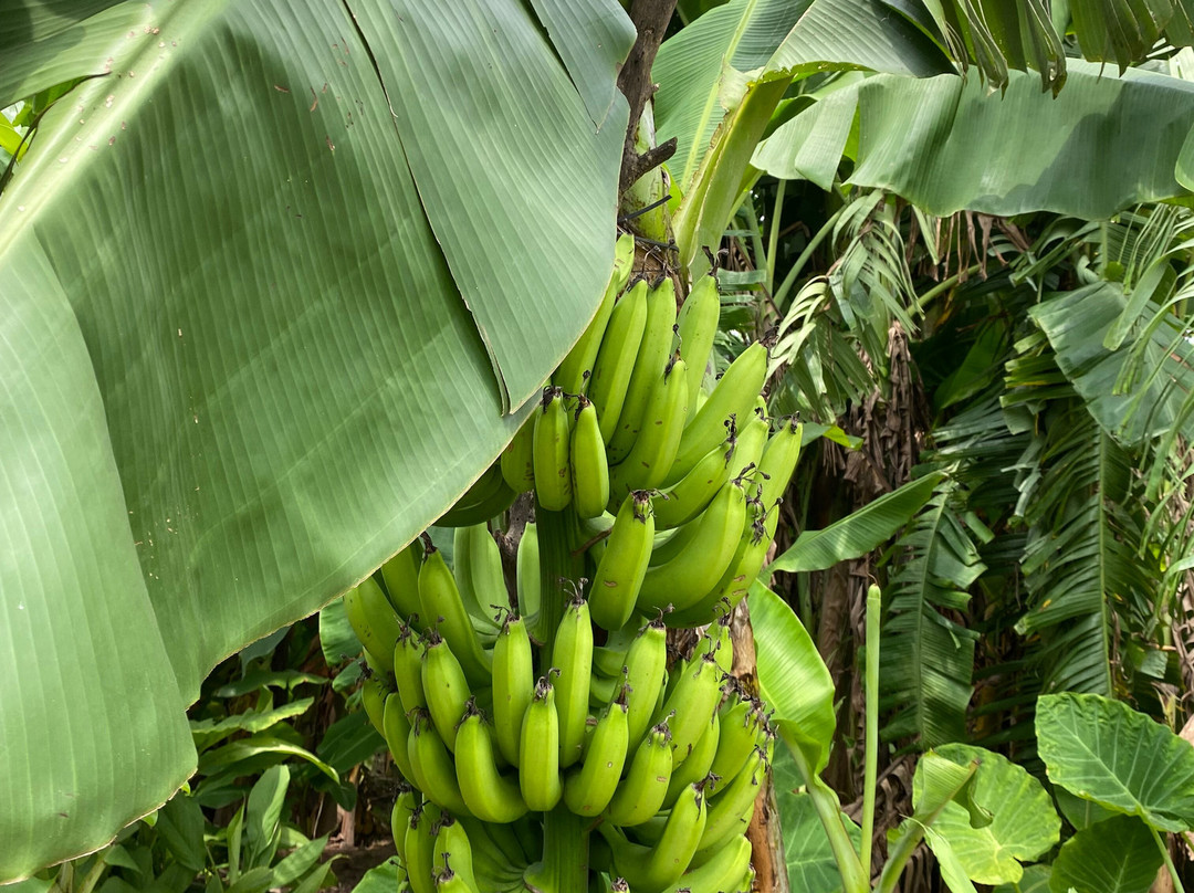 Motorbike Tours Hanoi-河内必去景点