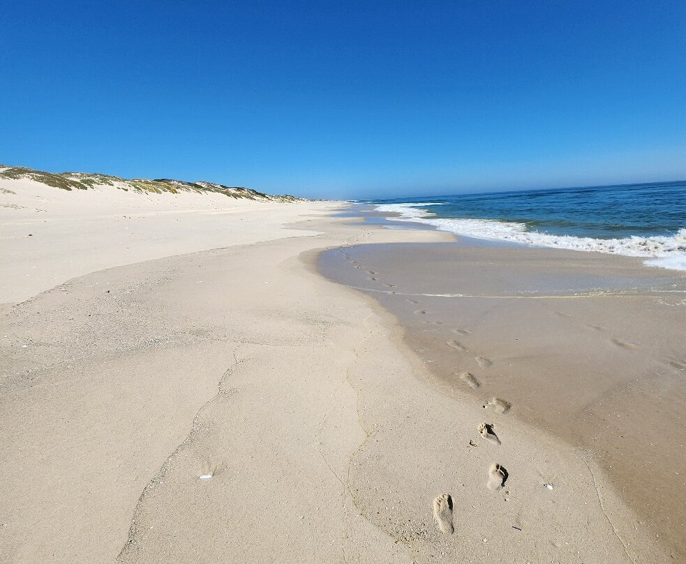 Draaihoek Lodge & Restaurant主图