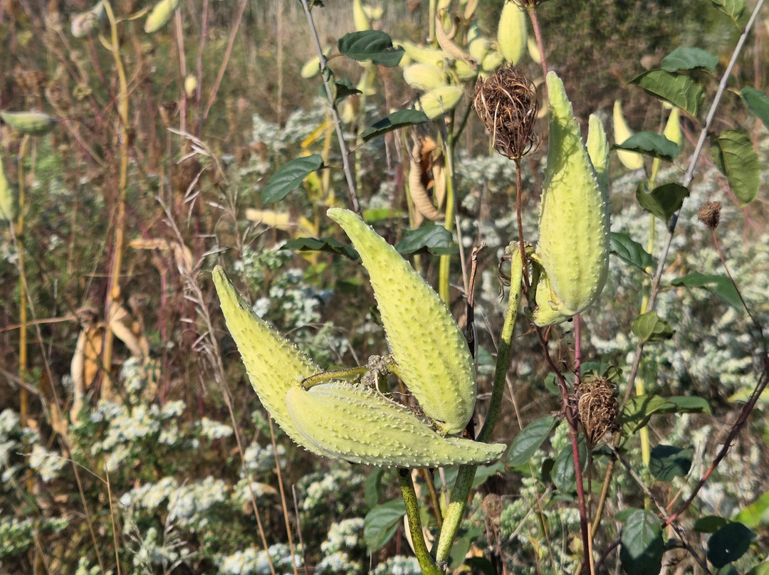Westminster Ponds-伦敦必去景点
