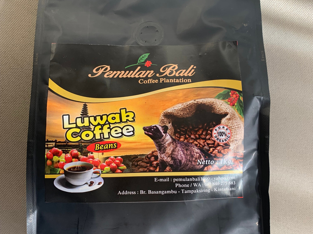 Pemulan Bali Coffee Plantation-Manukaya必去景点