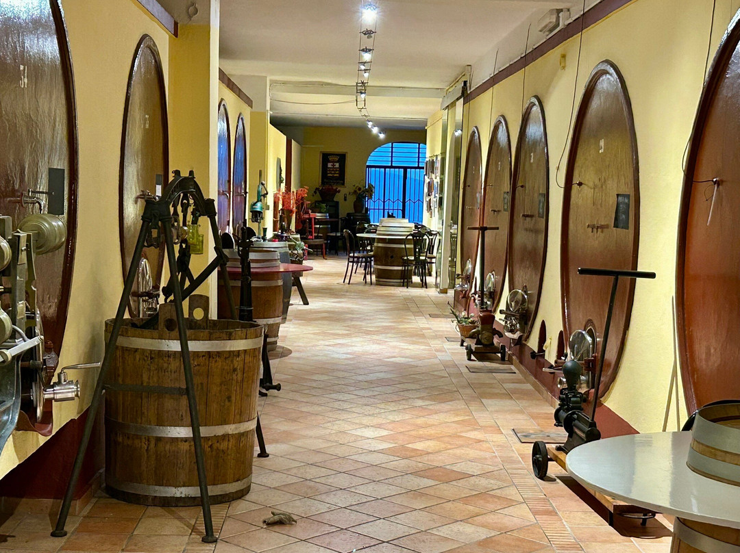 Antica Cantina Leonardi-蒙特菲亚斯科内必去景点