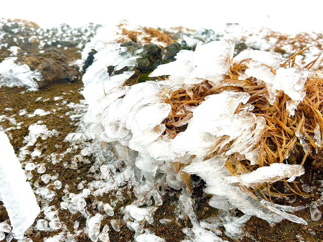 大雪山-上川町必去景点