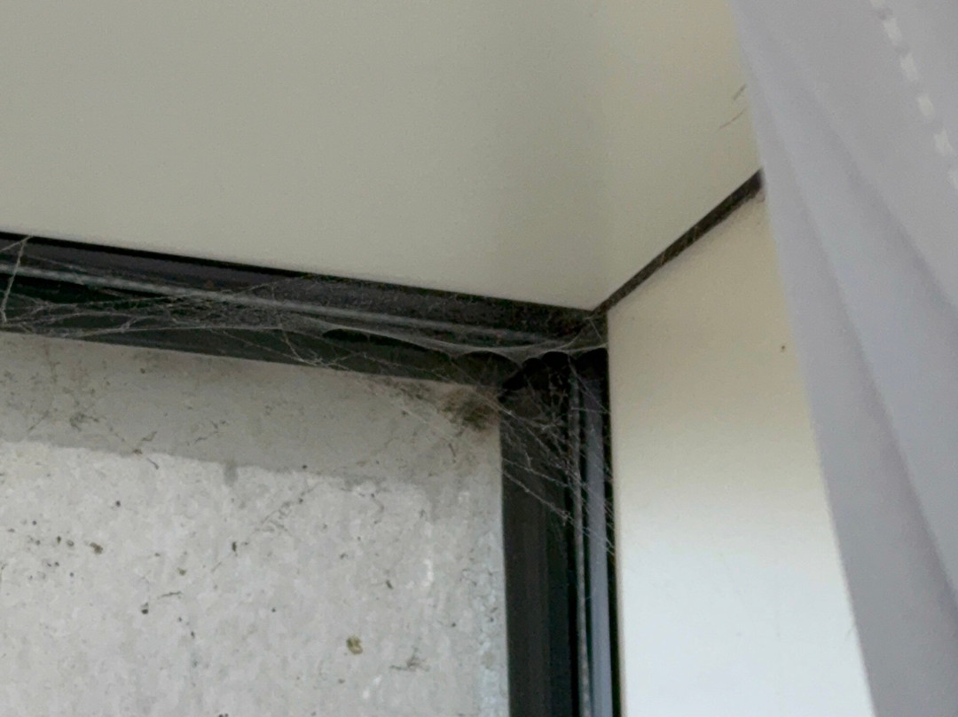 雷迪森布鲁东米德兰机场酒店主图