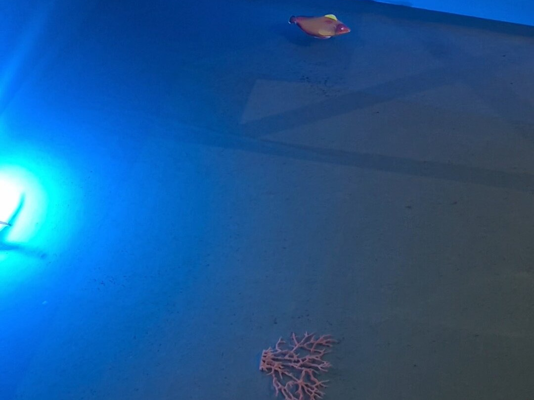 VIP Spa - Stolwijk-Stolwijk必去景点