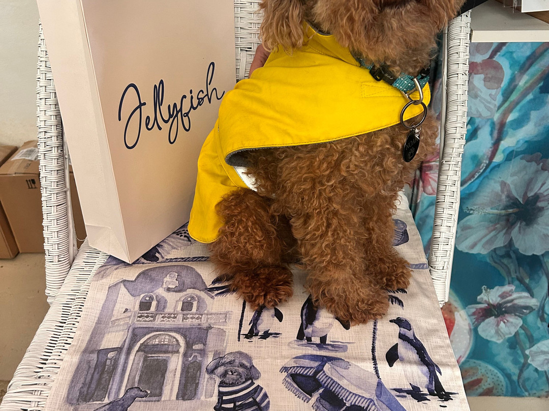 Legacy Collection-西门镇必去景点