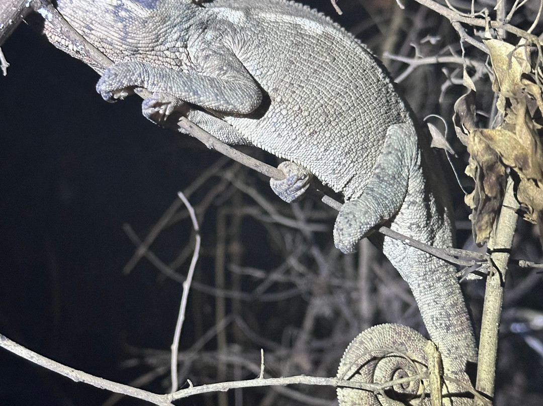 GMT+3 Great Madagascar Tours - Day Tours-安塔那那利佛必去景点