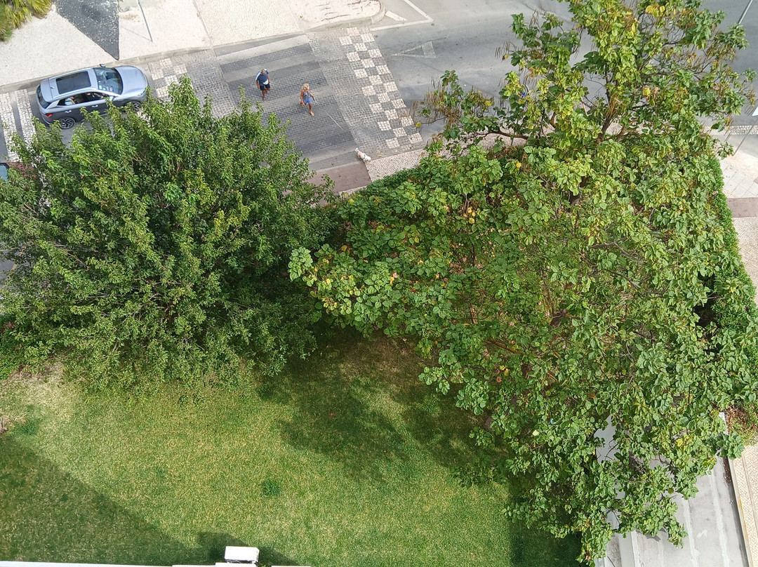 Apartamentos Jardins da Rocha主图
