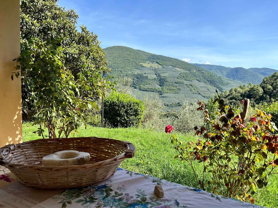 Agriturismo Il Casaletto主图