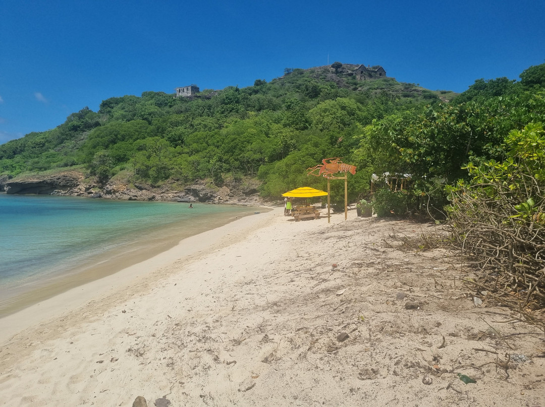 Just Grillin Seafood Restaurant