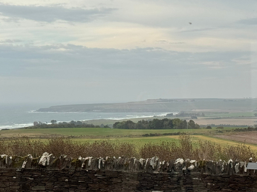 Arbikie Distillery-Montrose必去景点
