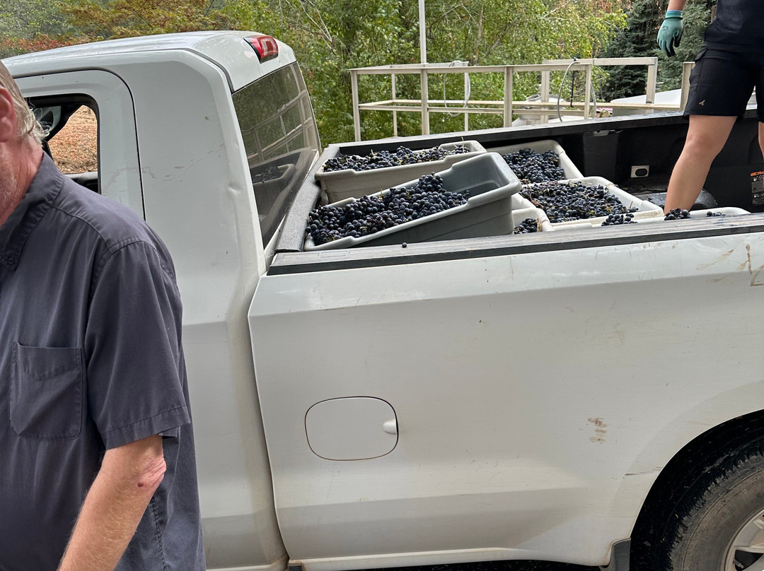 Storybook Mountain Vineyards-卡利斯托加必去景点