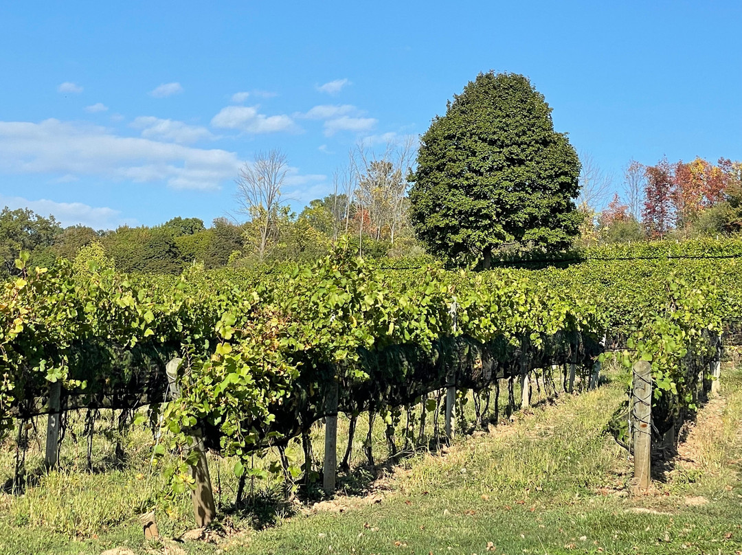 Heart & Hands Wine Company-Union Springs必去景点