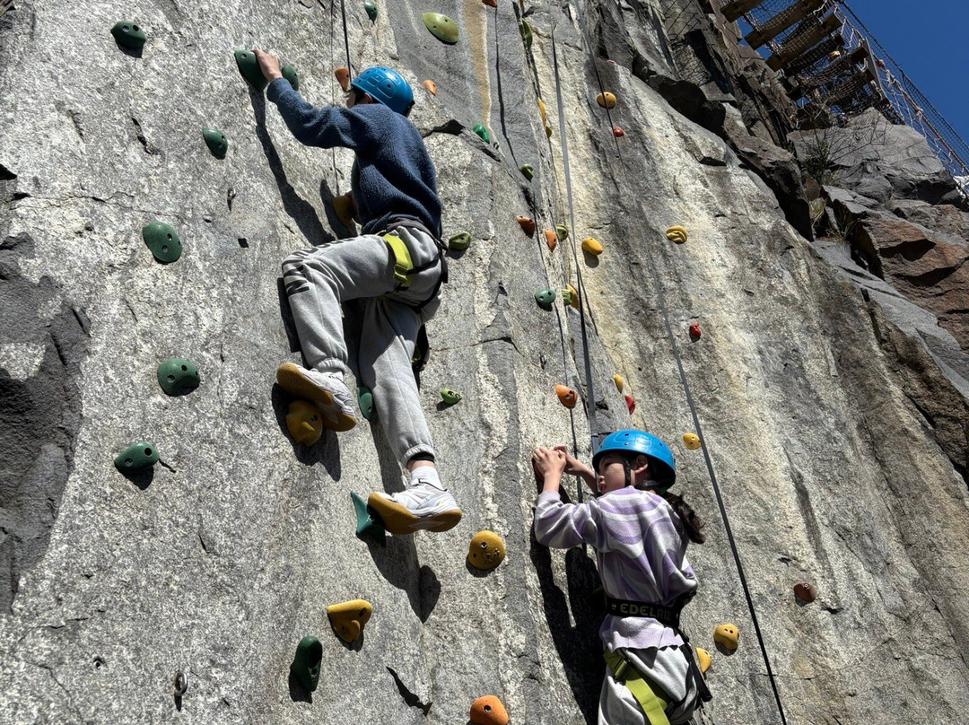 Penny Royal Adventures-朗塞斯顿必去景点