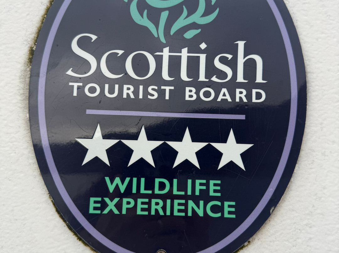 Western Isles Cruises-Mallaig必去景点