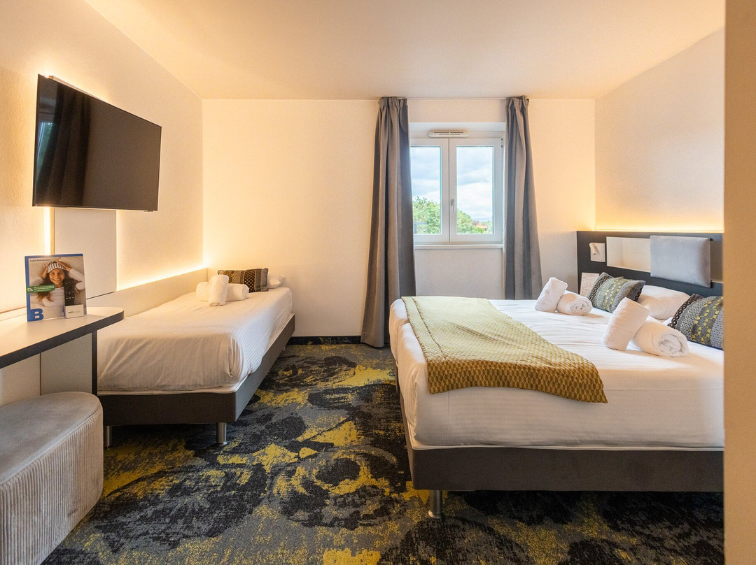 Brit Hôtel et Spa Colmar East主图