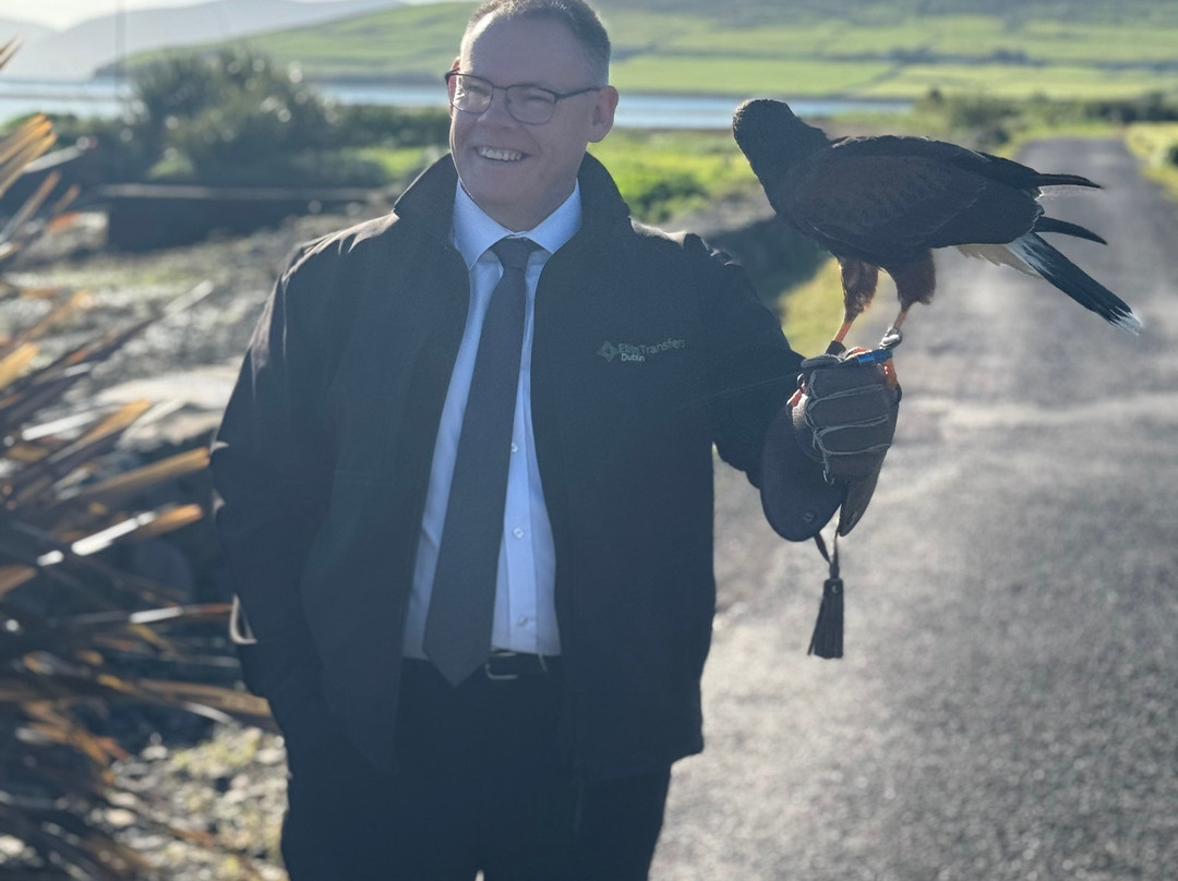 Elite Transfers Dublin-都柏林必去景点