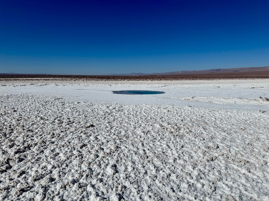 Lagunas Baltinache-圣佩德罗-德阿塔卡马必去景点