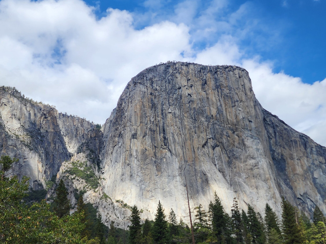 Yosemite Private Tours-Wawona必去景点