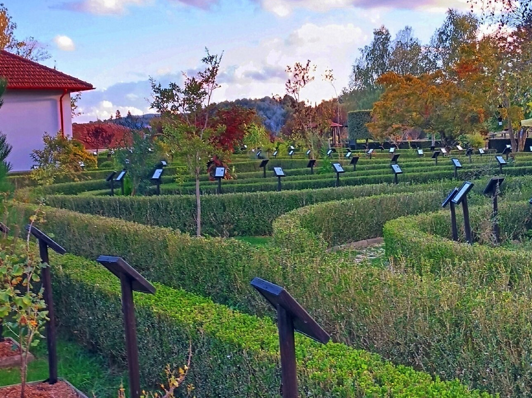 Parco Di Villa Vittoria-Mongiana必去景点