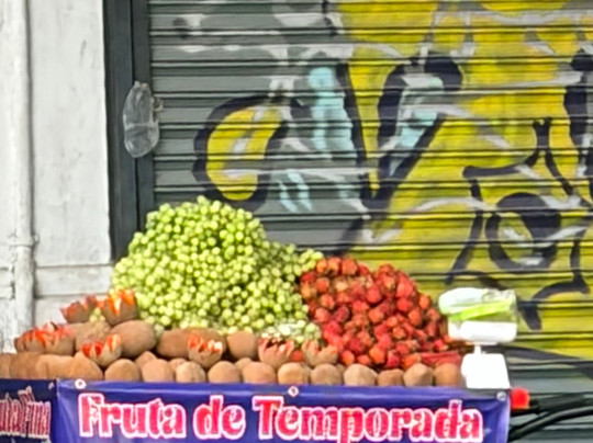 Bikes and Munchies-墨西哥城必去景点