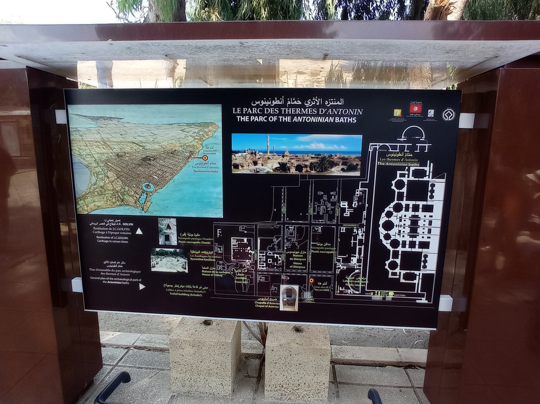 Villas Romaines-迦太基必去景点