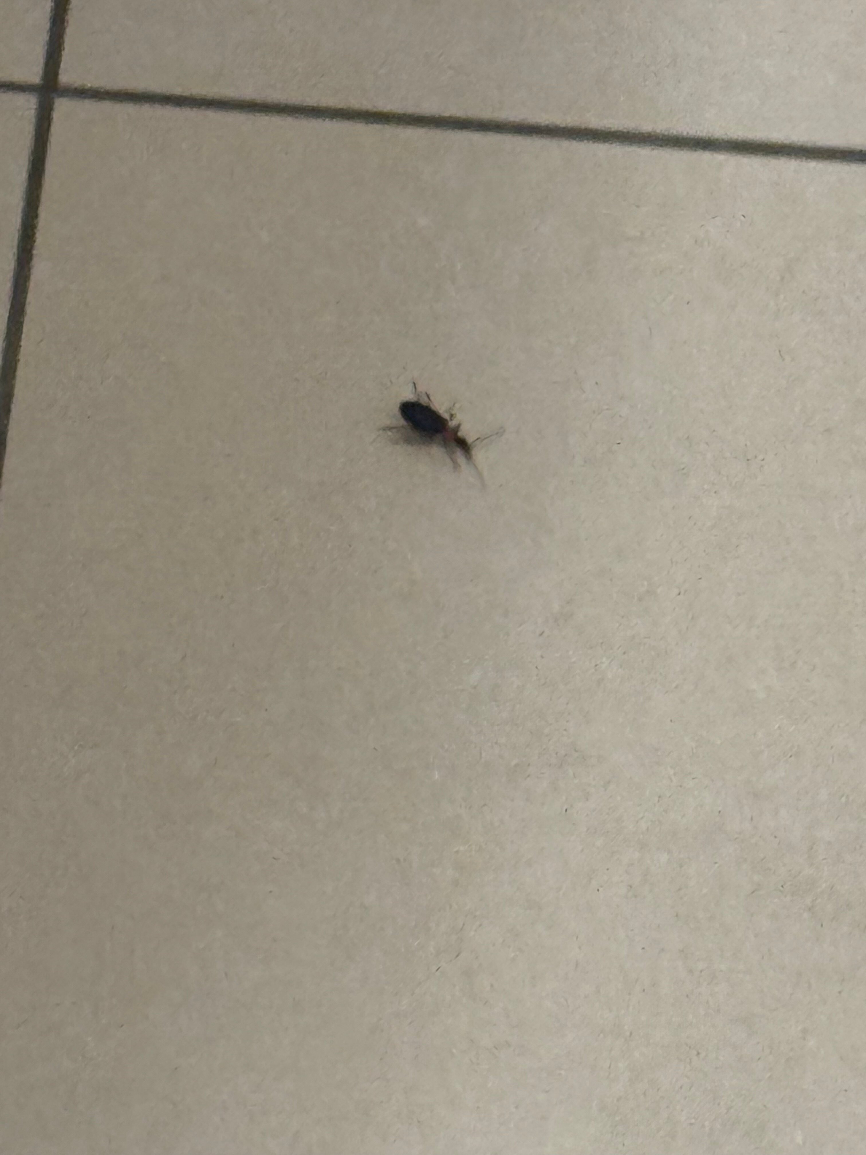 Courtyard by Marriott Mankato-官方