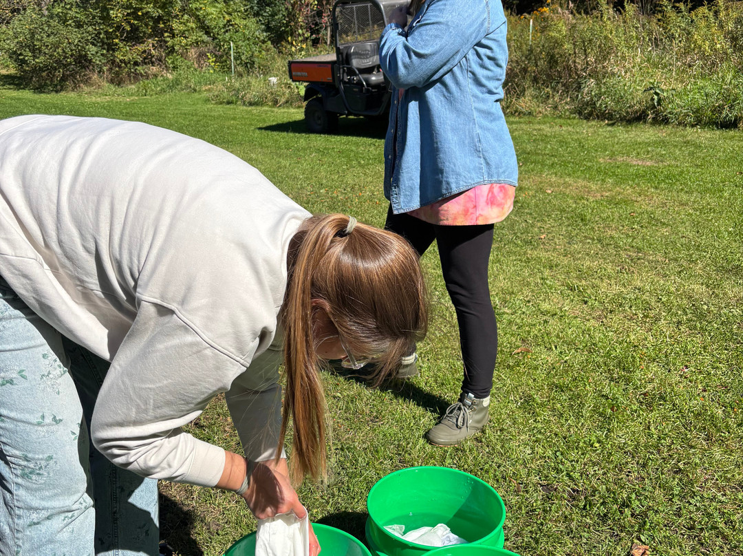 Avon Hills Folk School-Avon必去景点