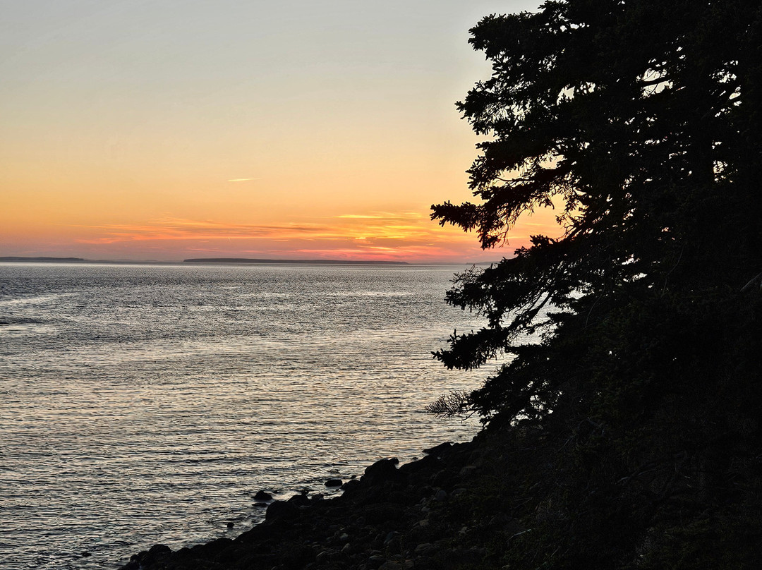 Main Street Motel主图