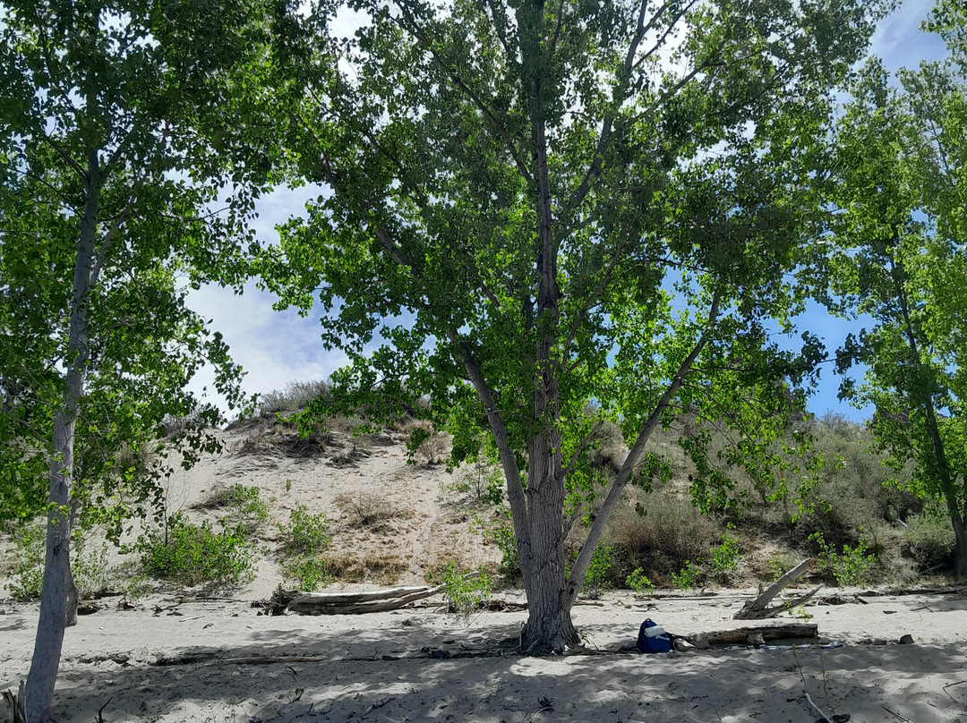 Cabañas Del Sol主图