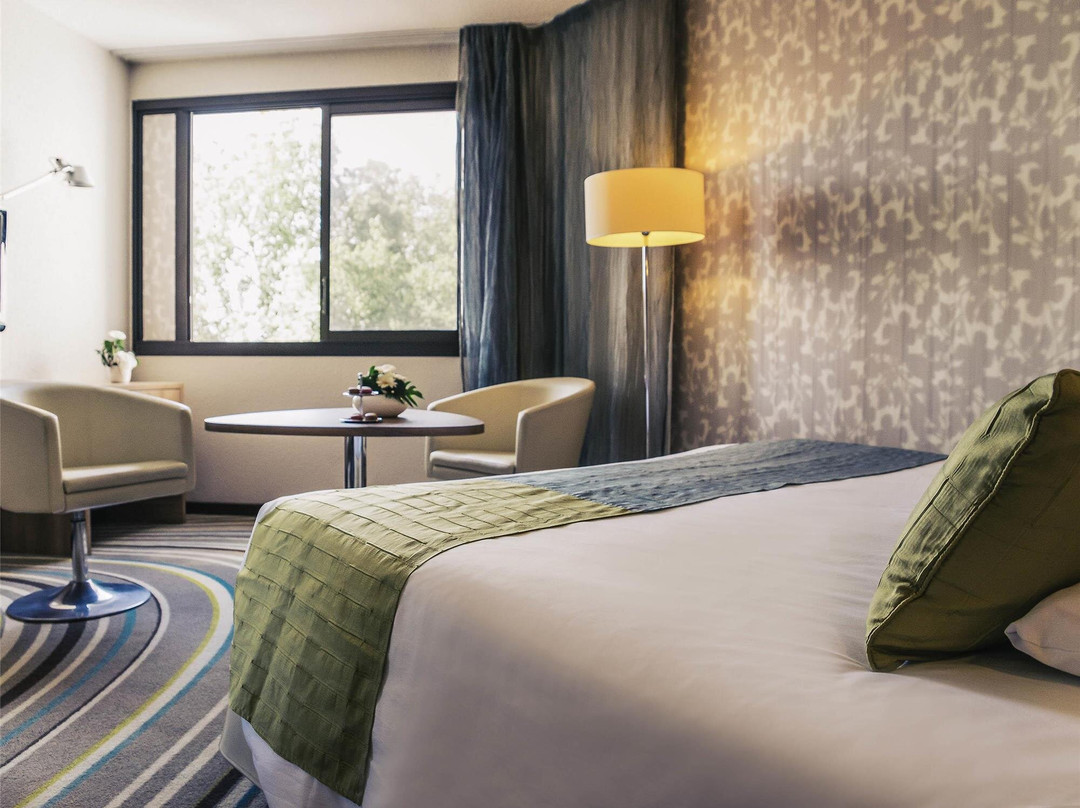 昂热中心美居酒店主图