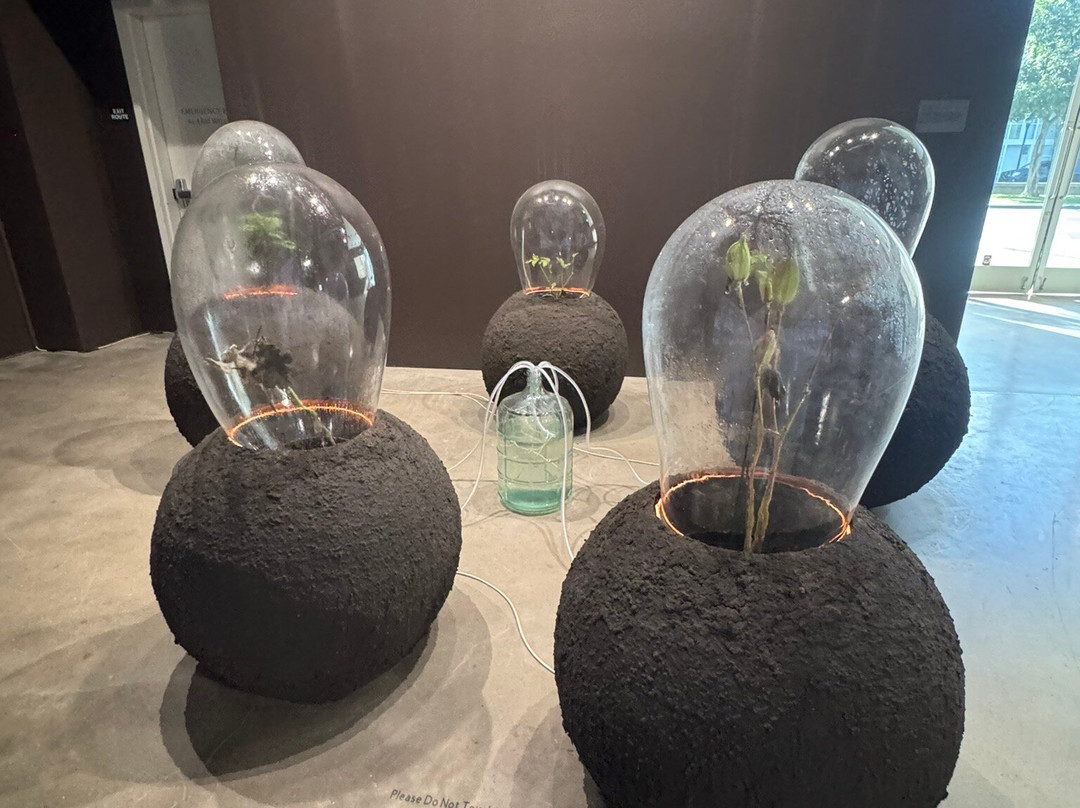 San Jose Institute of Contemporary Art-圣何塞必去景点