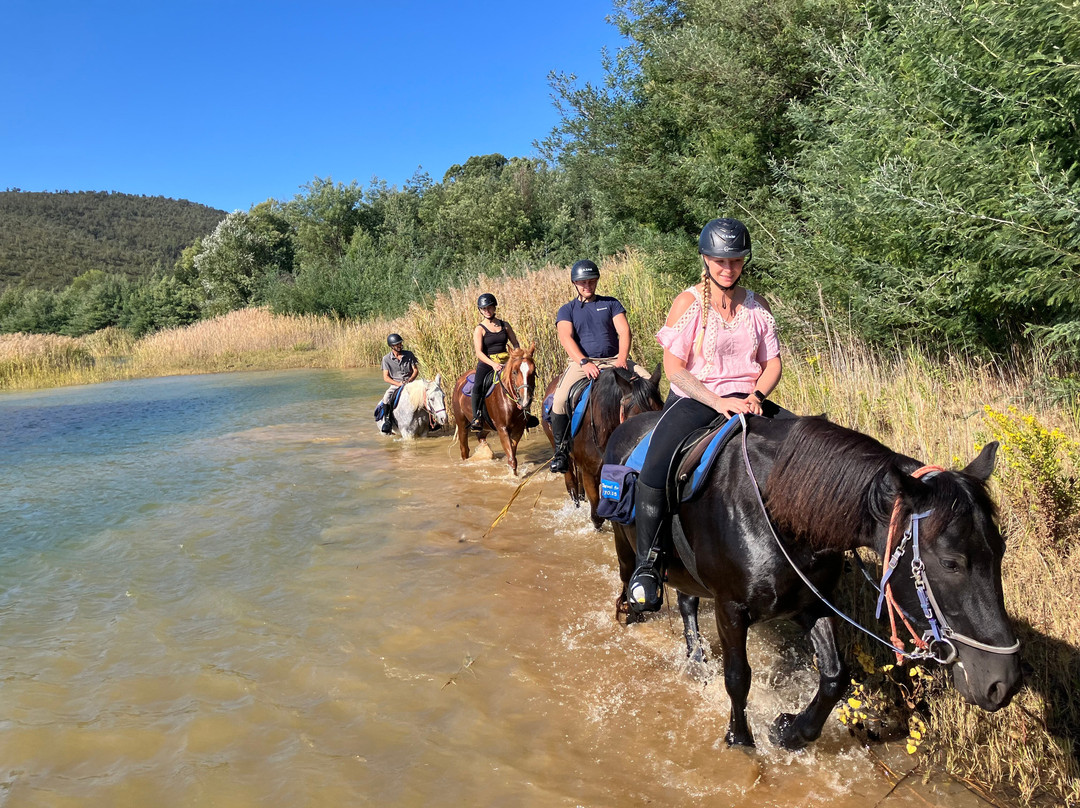 Aventure cheval. Randonnées à cheval-La Crau必去景点