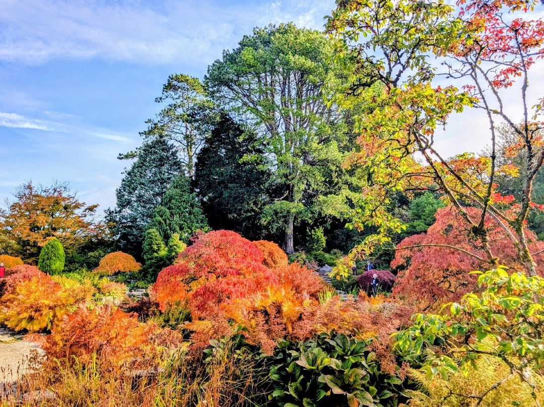 Sizergh Castle-肯德尔必去景点