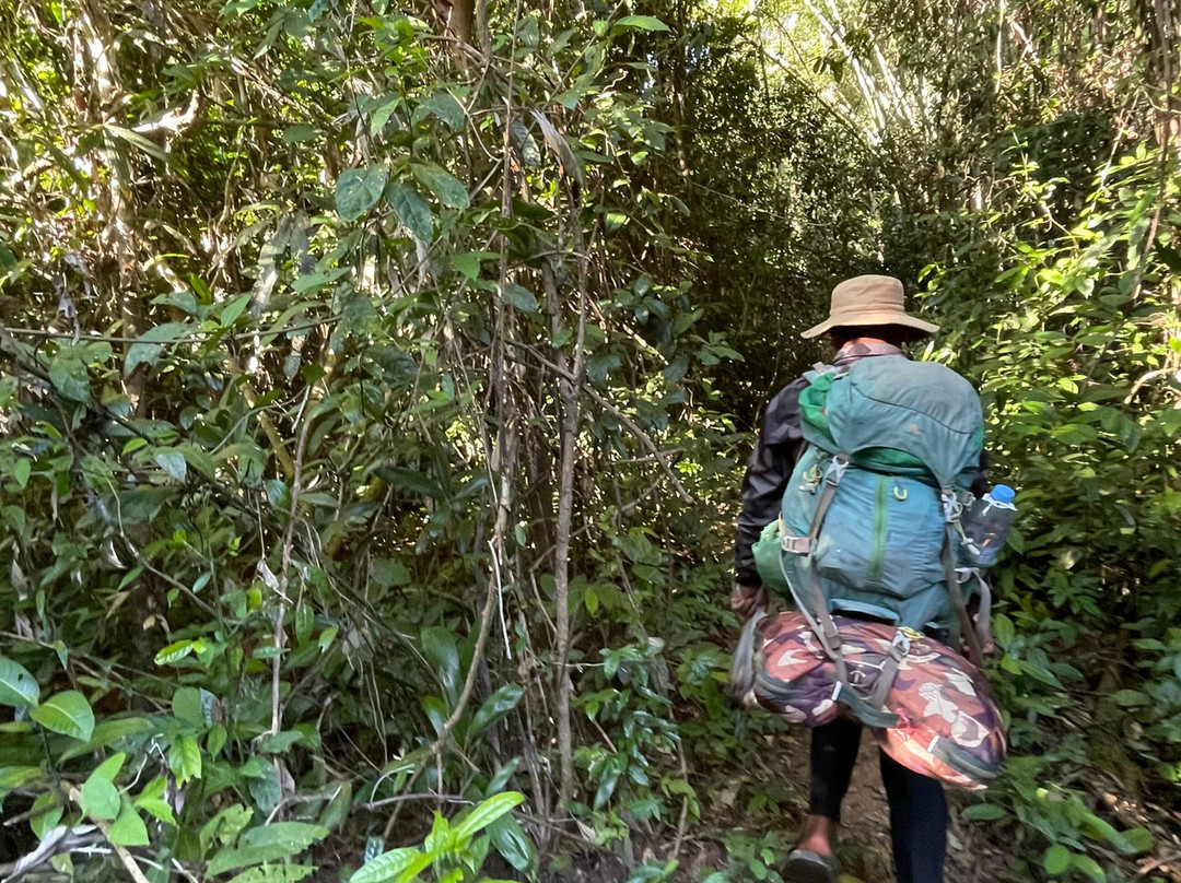 Parrot Tours-邦隆必去景点
