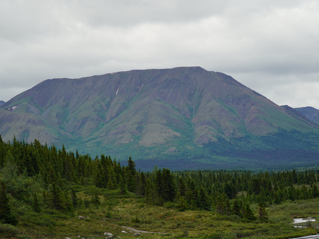 公园大道-德纳利国家公园和自然保护区必去景点