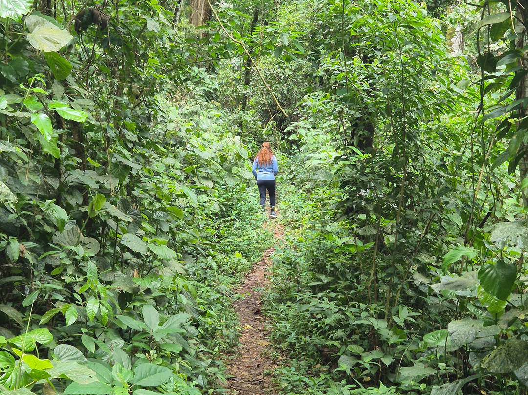 Cachoeira do Veloso-伊利亚贝拉必去景点