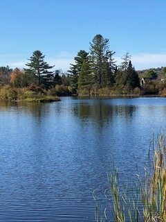 Coffin Pond Conservation Area-Sugar Hill必去景点