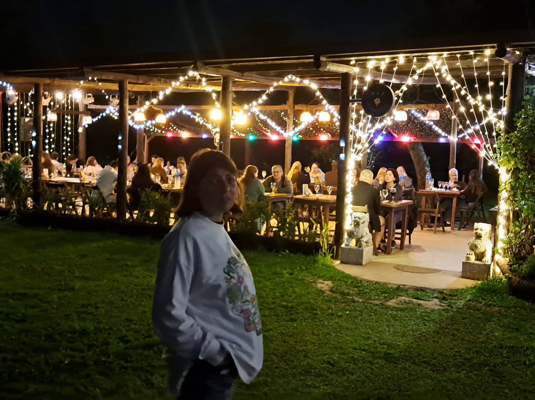 Senador Dupont主图