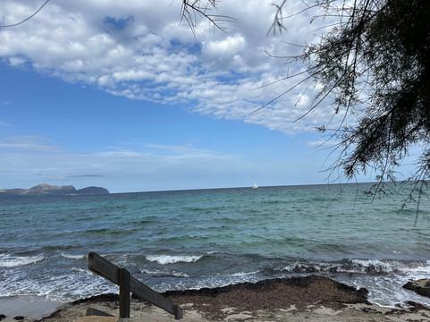 斯蒂尔盆景酒店主图