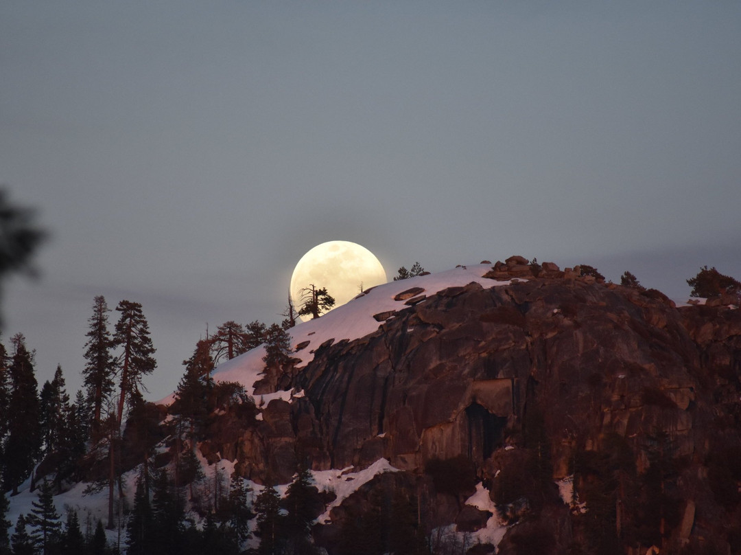 Sequoia Parks Conservancy-Three Rivers必去景点