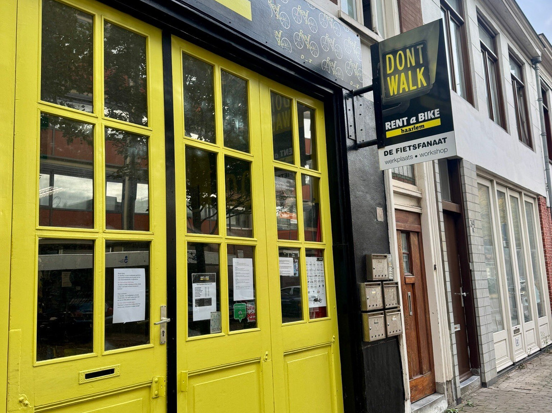 Rent a Bike Haarlem-哈勒姆必去景点