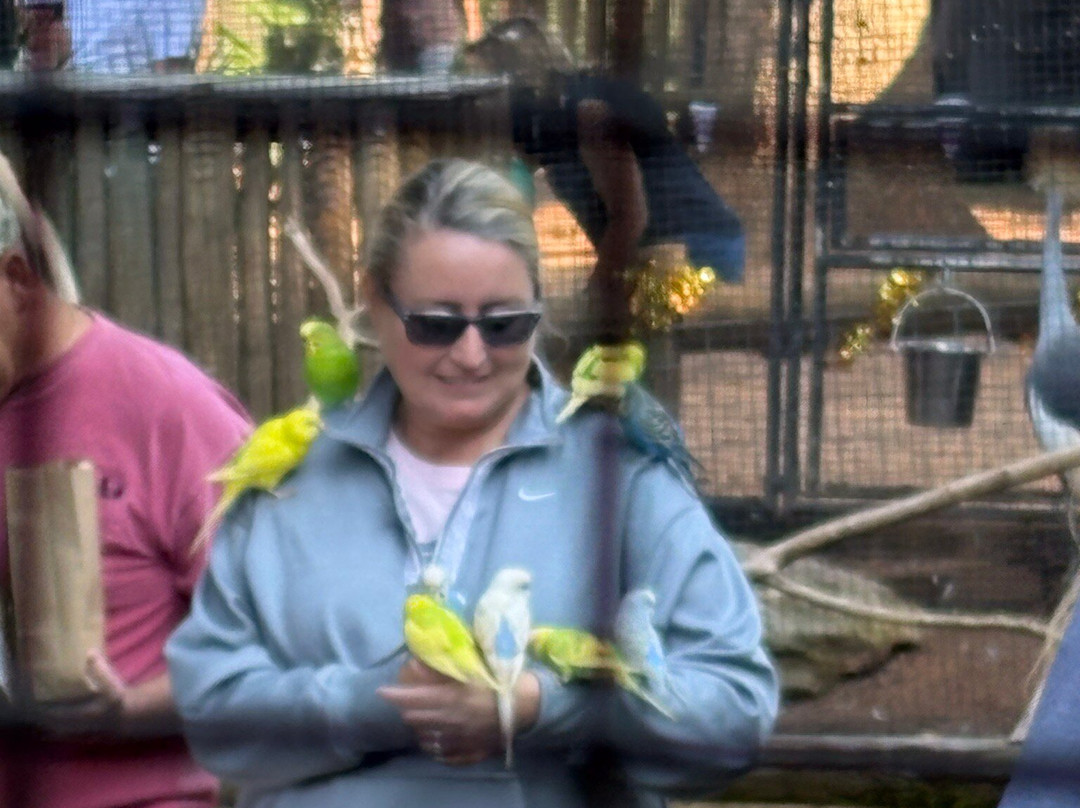 Lake Hartwell Wildlife Safari-Hartwell必去景点