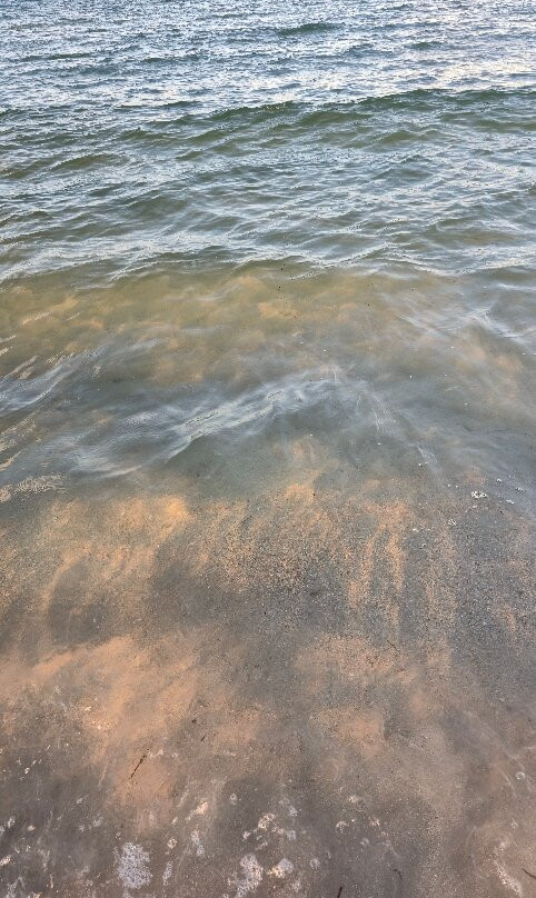 Spiaggia Marina Maria-奥尔比亚必去景点
