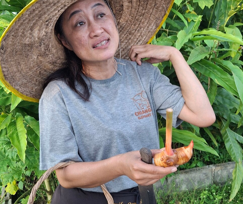 Smile Organic Farm Cooking School-清迈必去景点