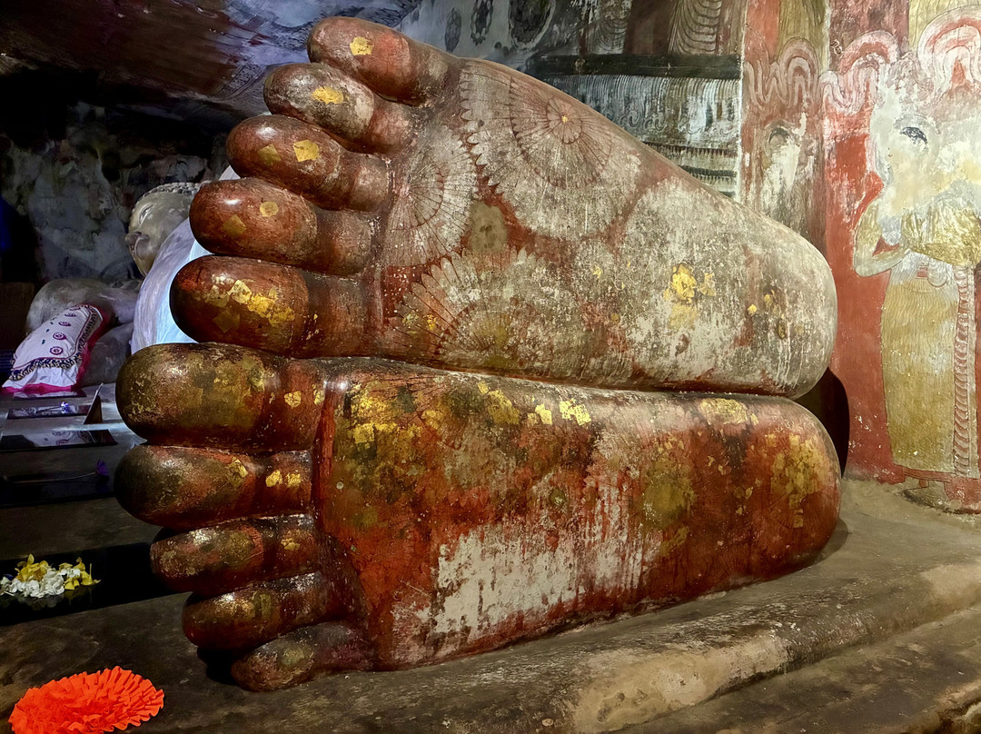 Pearl Of Sri Lanka Travel-科斯戈德必去景点