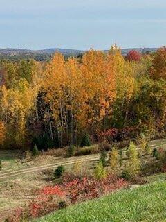 Sokokis Lookout-Limerick必去景点