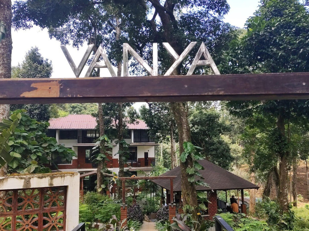 VANYA by Citrine主图