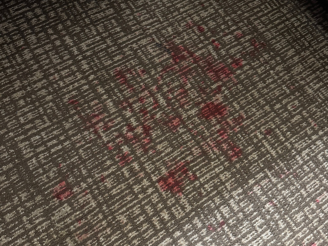 Comfort Inn Binghamton I-81主图