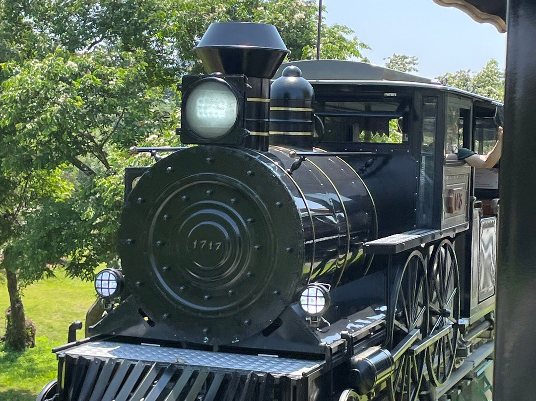 Trem Do Devoto-阿帕雷西达必去景点