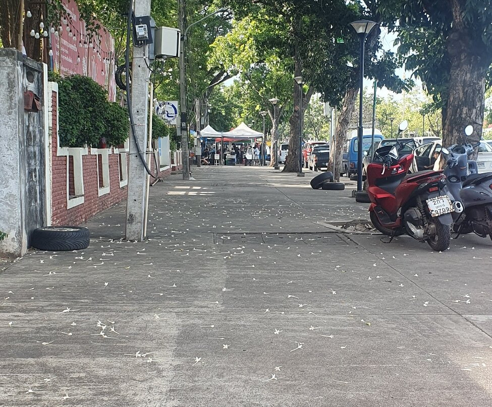 Nong Prajak Public Park-乌隆必去景点
